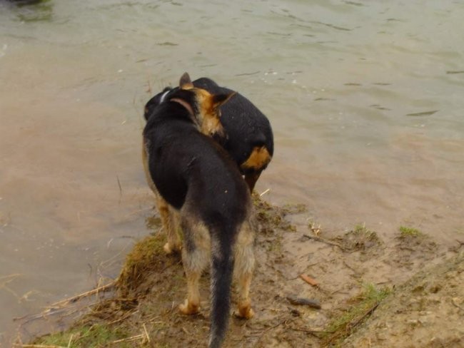 Nera, Shiva & Cigo - foto povečava