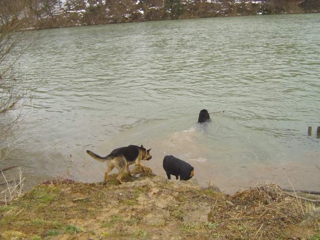 Nera, Shiva & Cigo - foto povečava