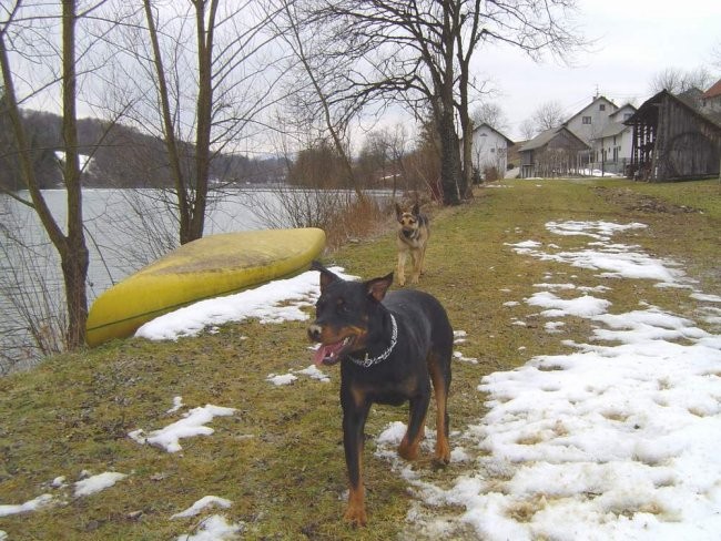 Nera, Shiva & Cigo - foto povečava