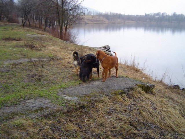 Kočevje - pisana druščina - foto