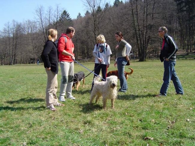 Dog Otočec 11 - foto povečava