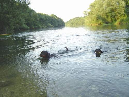 Shiva & Oli - foto povečava