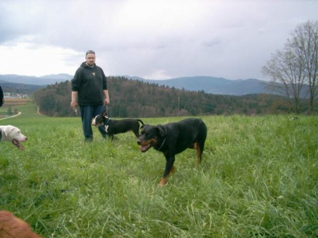 Dog Otočec 12 - foto