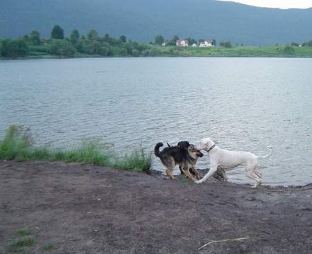 Kočevje 27.6. - kako smo uživali - foto