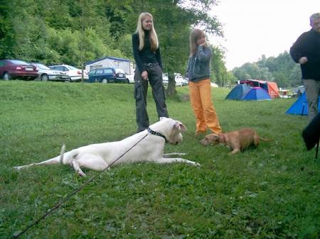 Kamp Adlešiči  - foto povečava