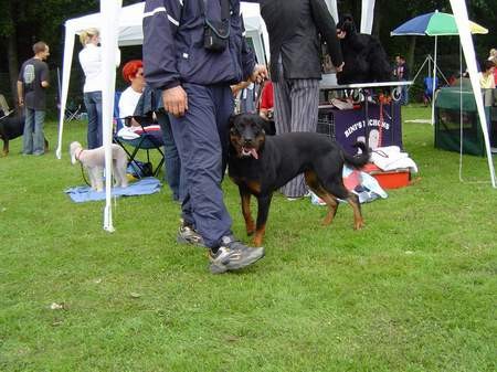 CAC Maribor 2005 - foto