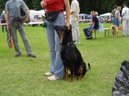 CAC Maribor 2005 - foto