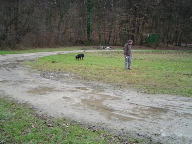 Dog Otocec dan potem. Iscemo in pobiramo kakce.