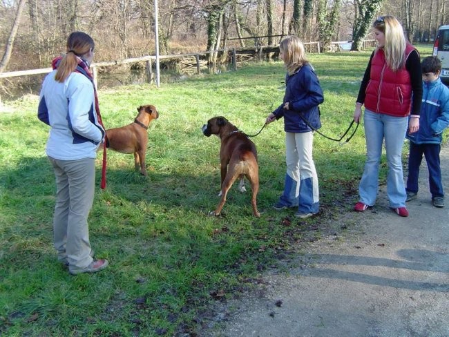 Dog Otočec - foto povečava