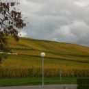 Vinogradi v Alzaciji..posestvo Shoenbrun!