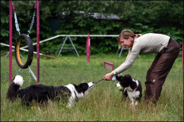 Agility 4 mesece - foto