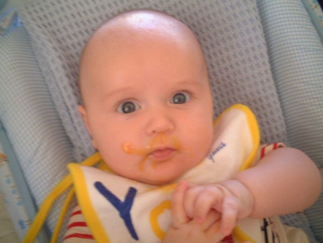 Mmmm My second gerber was an apricot one.
