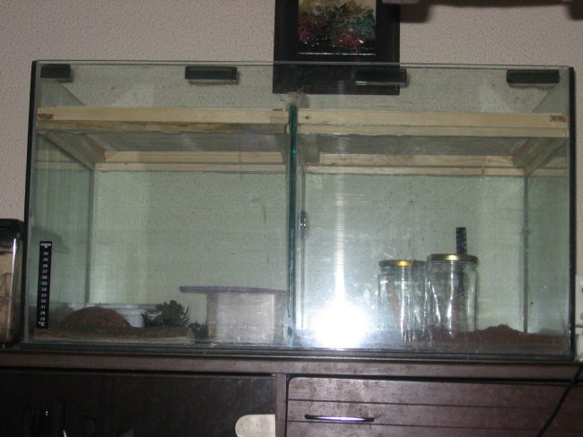 Heh - foto povečava