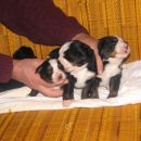 Boys together