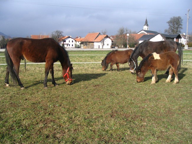Naf-Naf, Sara, Eros & Suzana