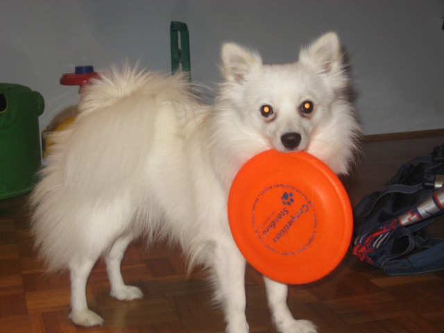 Januar 2008 - foto