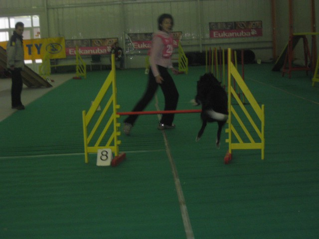 Agility Gornja Radgona-19.1.2008 - foto povečava