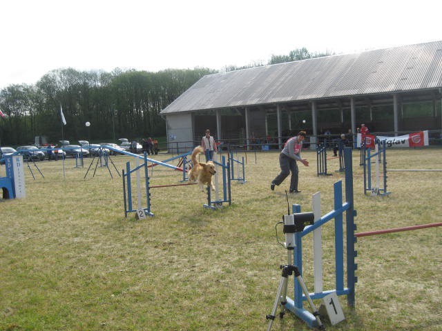 Agility tekma Gornja Radgona-26.4.2008 - foto