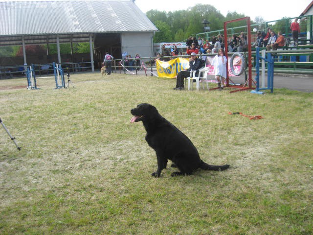 Agility tekma Gornja Radgona-26.4.2008 - foto