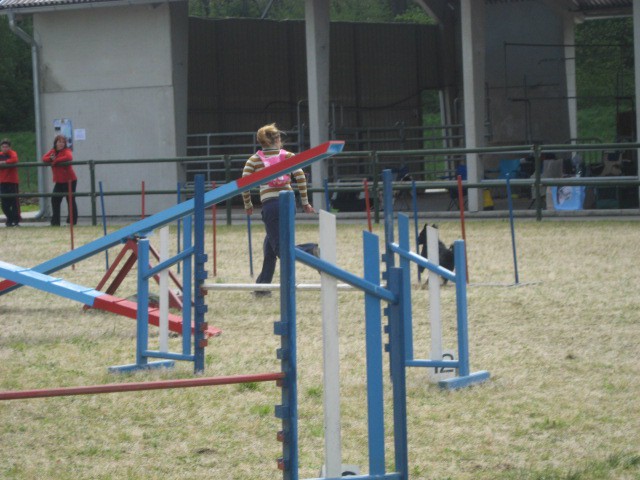 Agility tekma Gornja Radgona-26.4.2008 - foto