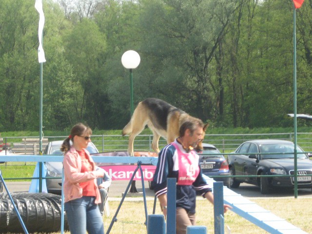 Agility tekma Gornja Radgona-26.4.2008 - foto