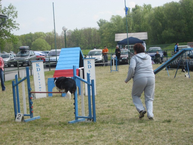 Agility tekma Gornja Radgona-26.4.2008 - foto