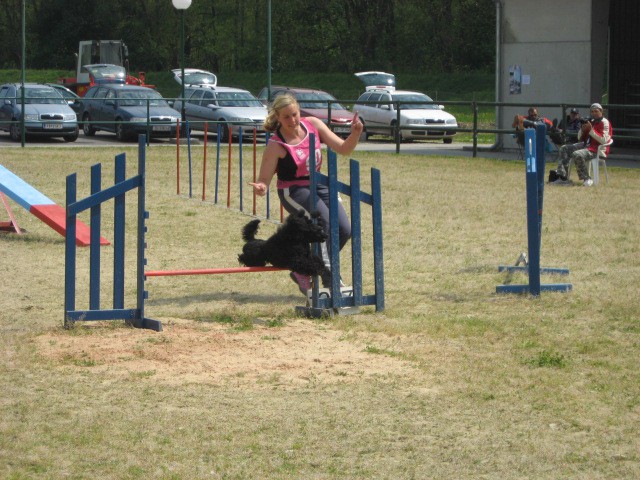 Agility tekma Gornja Radgona-26.4.2008 - foto povečava