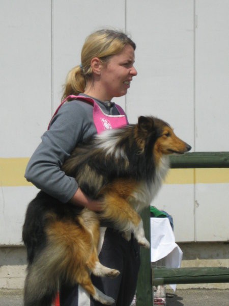 Agility tekma Gornja Radgona-26.4.2008 - foto