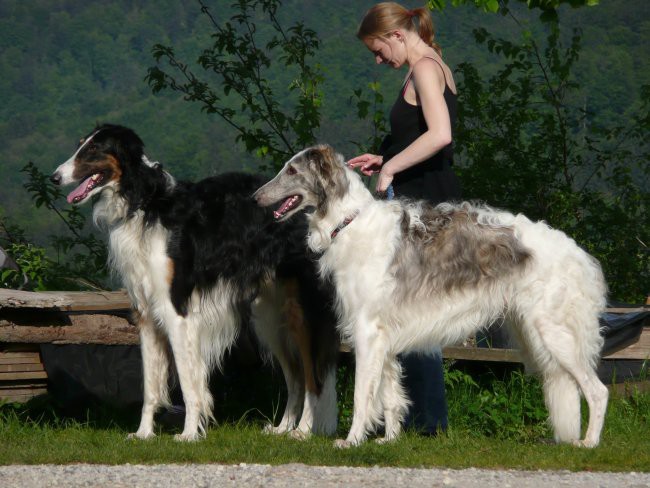 FENOMENALNIJ FARS in PRIJATELJI - foto povečava