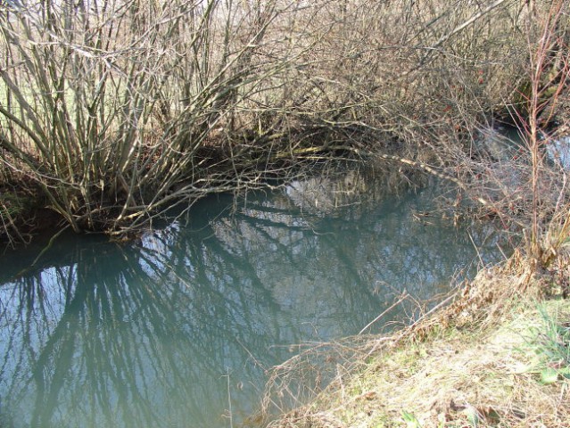 Narava - foto