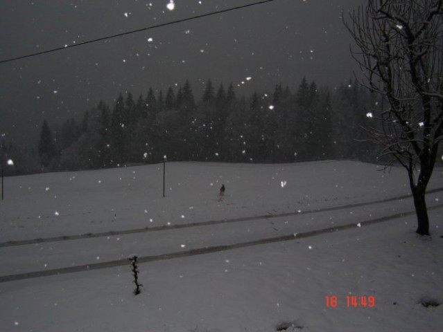 Na snegu - foto