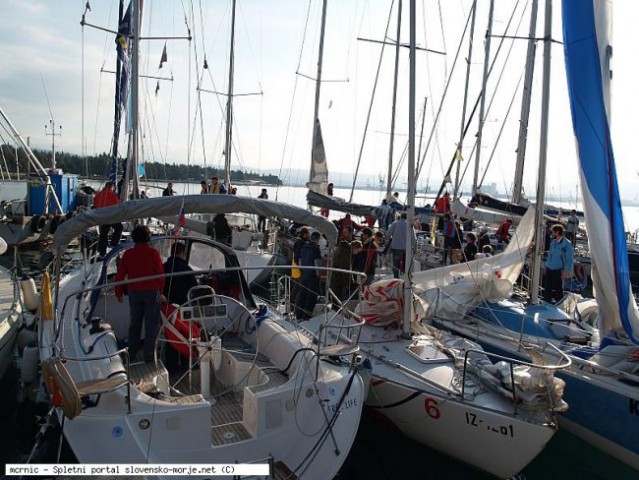 10.jadralna regata ankaran - foto