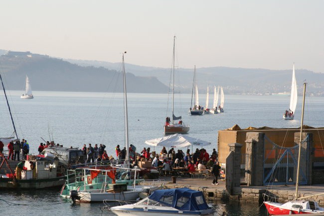 10.jadralna regata ankaran - foto povečava