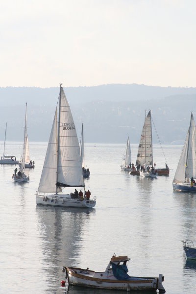 10.jadralna regata ankaran - foto povečava