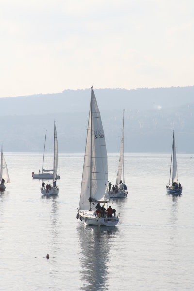 10.jadralna regata ankaran - foto povečava