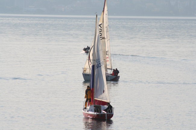 10.jadralna regata ankaran - foto povečava