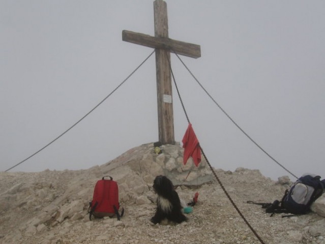 Oši na vrhu Kanina :)