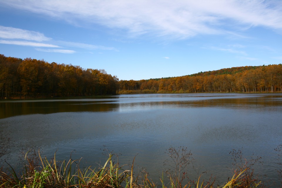 Bukovniško jezero zakrivajo prelepi bukovi gozdovi. Na Goričkem ni naravnih stoječih voda,