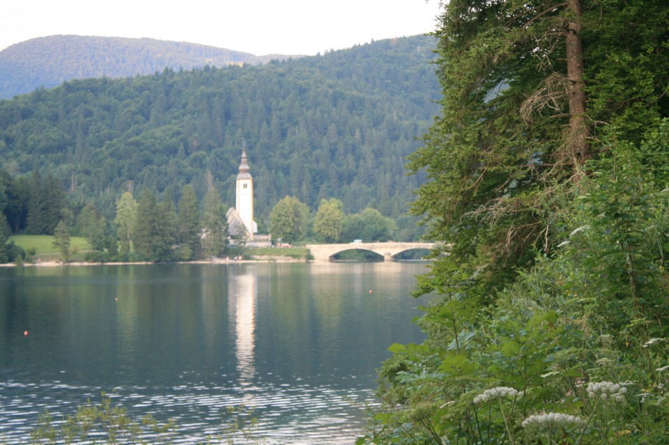 BOHINJ,1.-2.8.09 - foto povečava