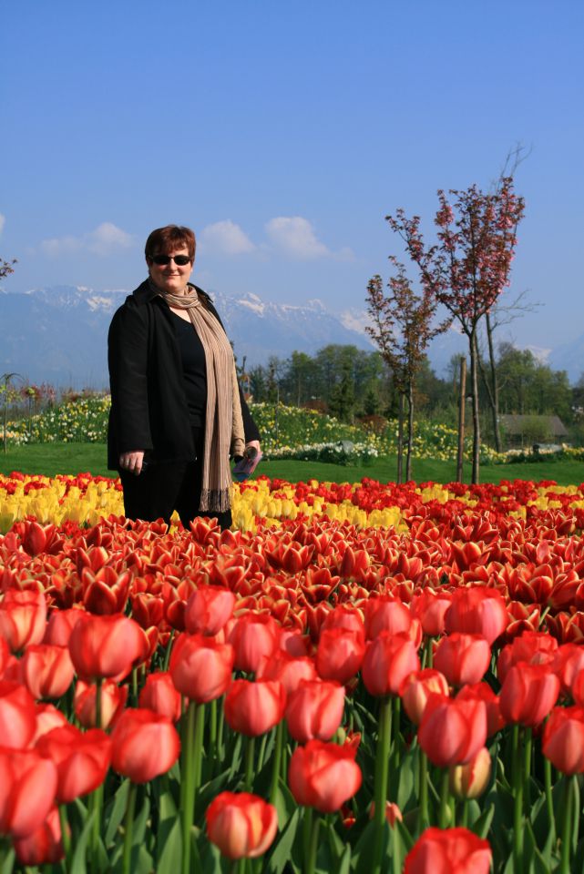 Arboretum volčji potok in dinozavri,26.4.2010 - foto povečava