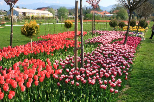 Arboretum volčji potok in dinozavri,26.4.2010 - foto