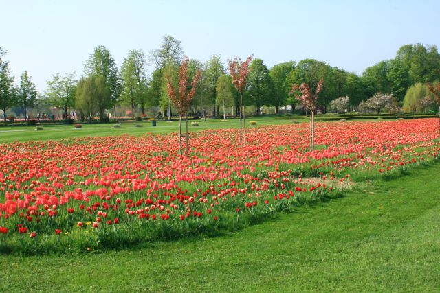 Arboretum volčji potok in dinozavri,26.4.2010 - foto