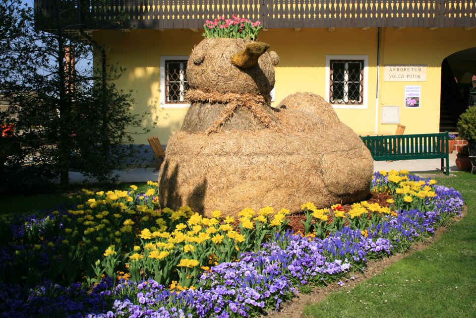 Arboretum volčji potok in dinozavri,26.4.2010 - foto povečava