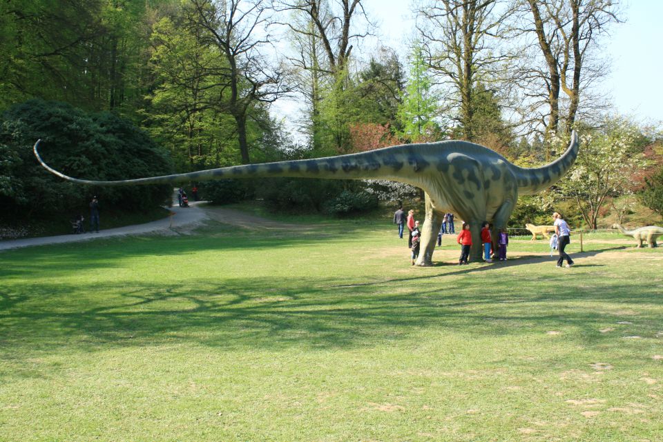 Arboretum volčji potok in dinozavri,26.4.2010 - foto povečava