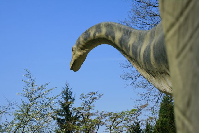 Arboretum volčji potok in dinozavri,26.4.2010 - foto
