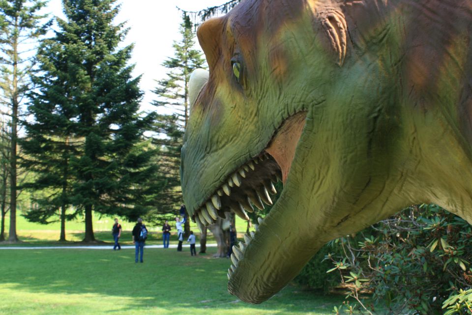 Arboretum volčji potok in dinozavri,26.4.2010 - foto povečava