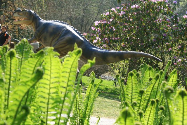 Arboretum volčji potok in dinozavri,26.4.2010 - foto