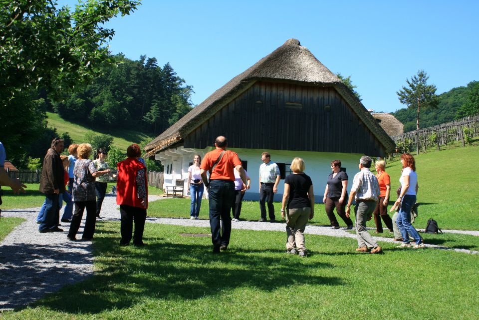 ROGATEC,KUMROVEC,BIZELJSKO,5.6.2010 - foto povečava