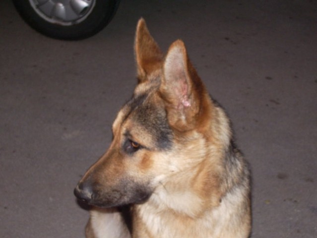 Moj profil ...