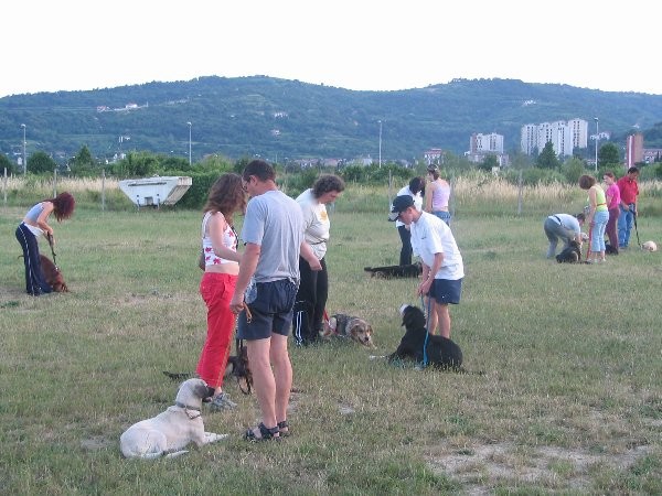 MALA ŠOLA MAJ 2005 - foto